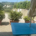 Il Bellini