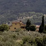 Il Bellini *
