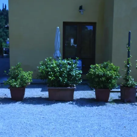 Il Bellini *