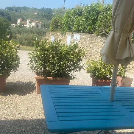 Il Bellini